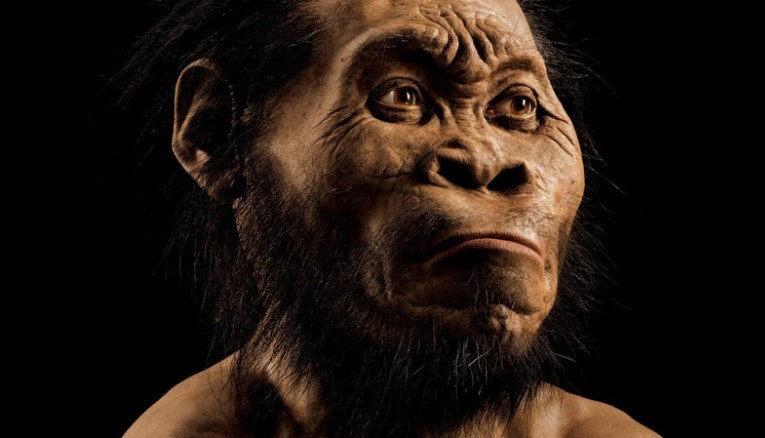 Researchers Find a New Ancient Human Species in the Philippines