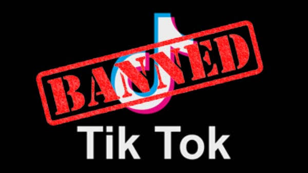 Why TikTok Banned in India