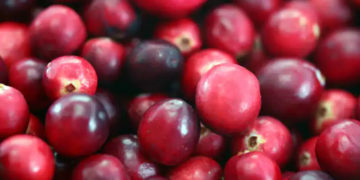 cranberries