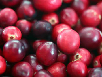 cranberries